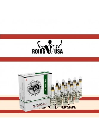 Magnum Negrito 300 Magnum Negrito 300